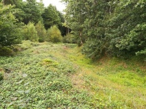 Click for full size image of Bishops Wood Fort (PID:215278) Bishops Wood Fort