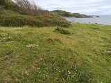 Click for full size image of Lowland Point (PID:213932) Lowland Point