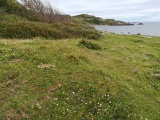 Lowland Point