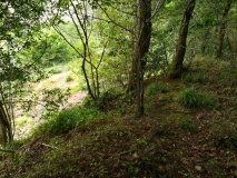 Click for full size image of Bishops Wood Fort (PID:215281) Bishops Wood Fort