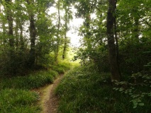 Click for full size image of Bishops Wood Fort (PID:215282) Bishops Wood Fort