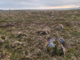Click for full size image of Louden Hill circle (PID:273882) Louden Hill circle