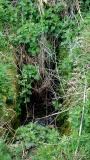 Tregaminion Holy Well - PID:60848