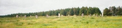 Click for full size image of Goodaver (PID:106326) Goodaver