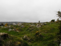 Mulfra Settlement - PID:59341