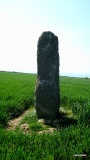 Boscawen-Ros - PID:76560