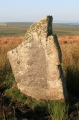 Click for full size image of Stripple Stones (PID:112736) Stripple Stones