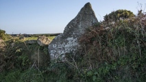 Click for full size image of Boscawen-Un Hedge (PID:155632) Boscawen-Un Hedge
