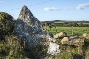 Click for full size image of Boscawen-Un Hedge (PID:155634) Boscawen-Un Hedge