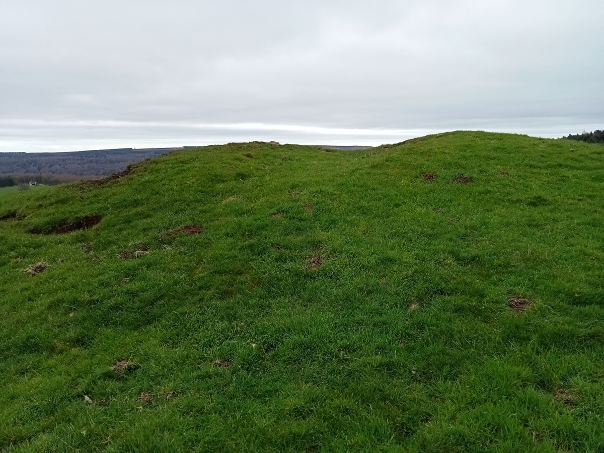 Calton Pasture II