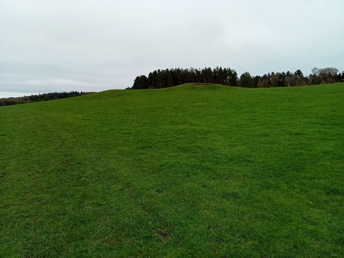 Calton Pasture II