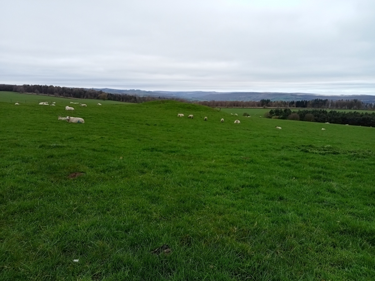 Click for full size image of Calton Pasture (PID:257057) Calton Pasture