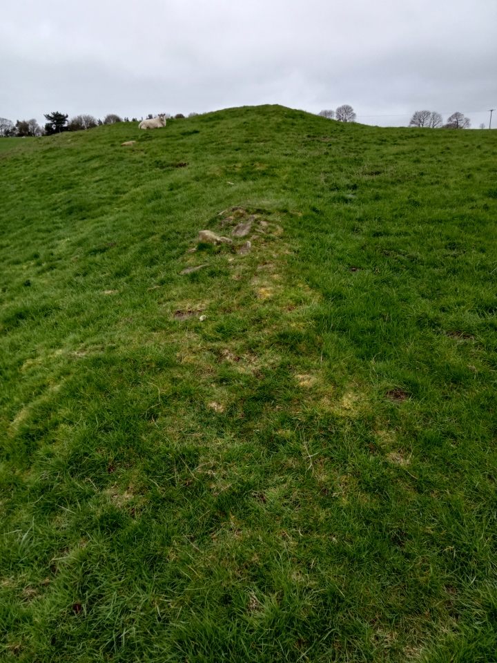 Click for full size image of Calton Pasture (PID:257058) Calton Pasture