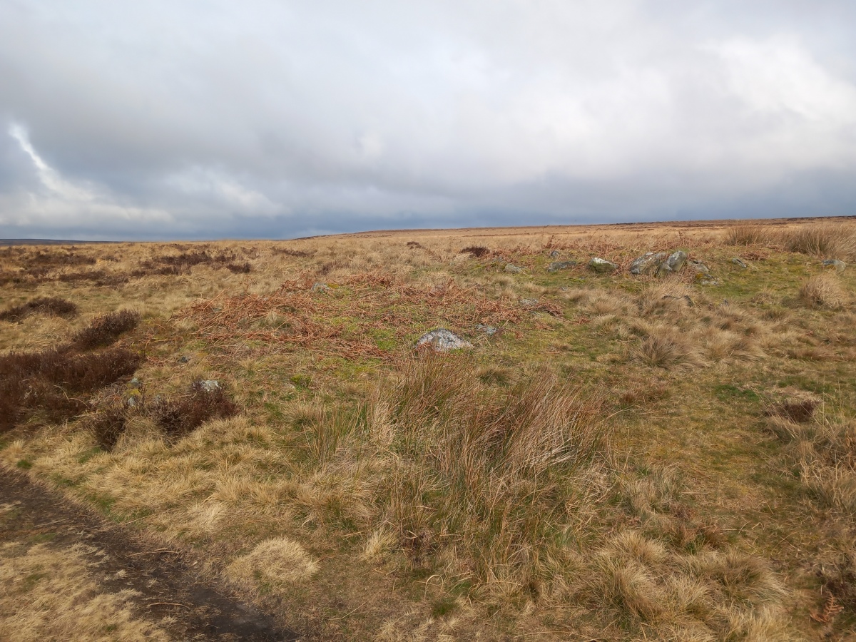 Click for full size image of Big Moor Cairn Field (PID:254891) Big Moor Cairn Field
