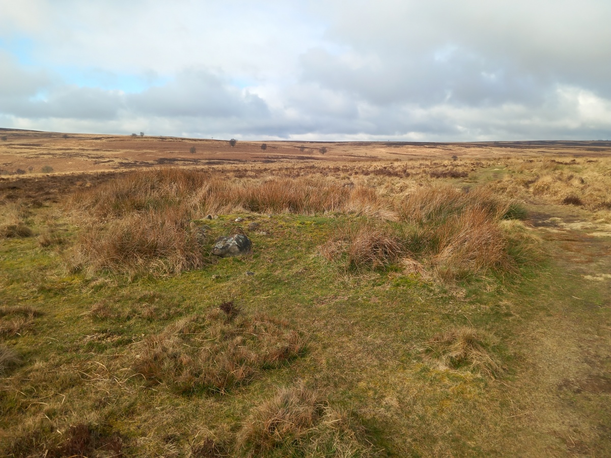 Click for full size image of Big Moor Cairn Field (PID:254892) Big Moor Cairn Field