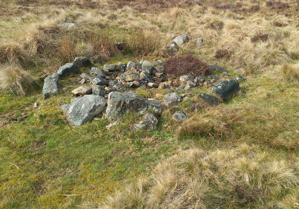 Big Moor Cairn Field