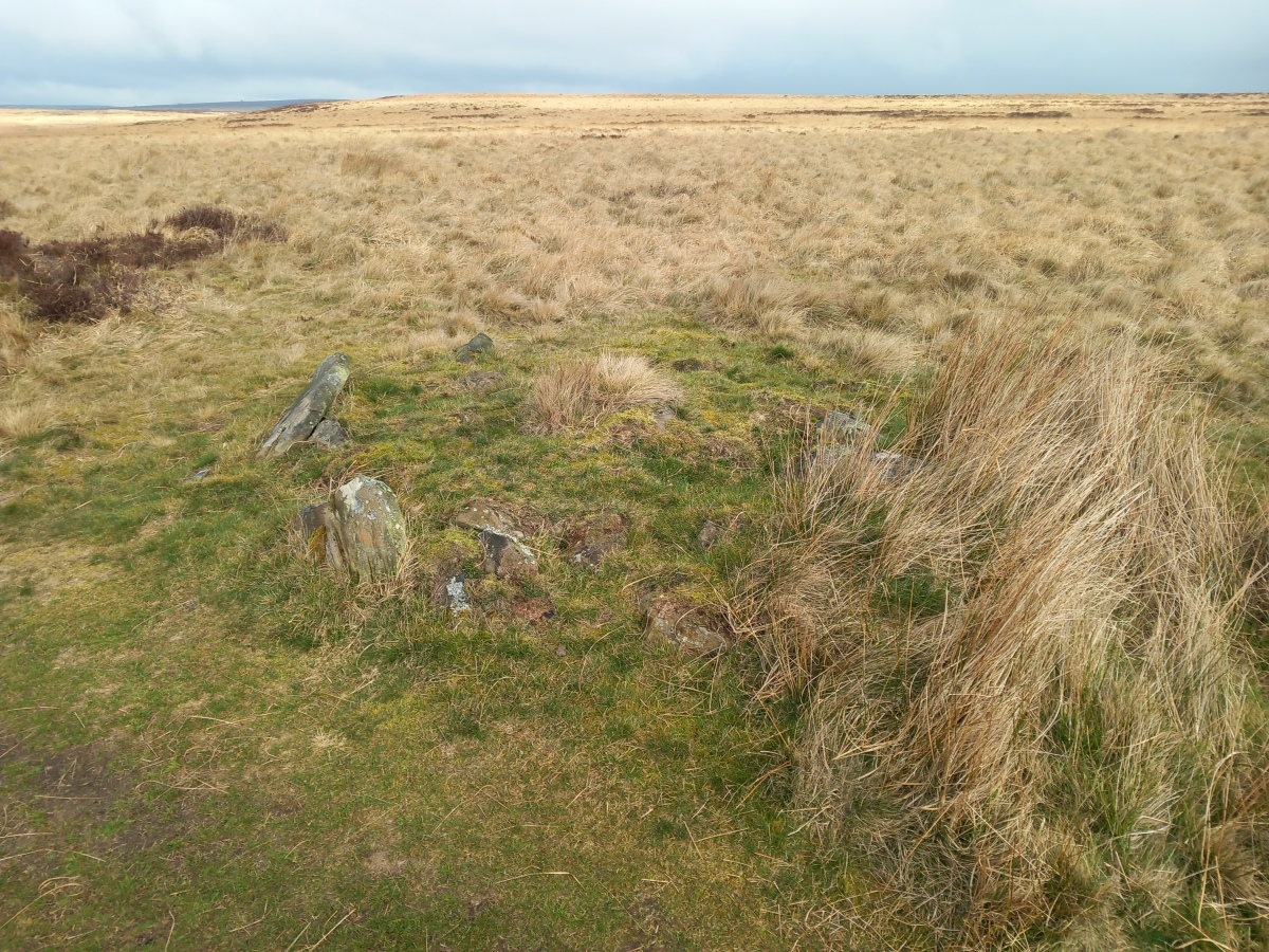 Click for full size image of Big Moor Cairn Field (PID:254893) Big Moor Cairn Field