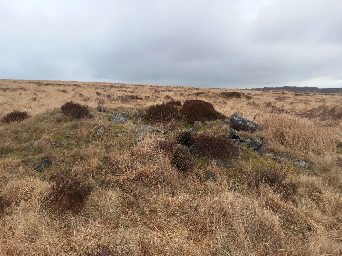Click for full size image of Big Moor Cairns SW (PID:254898) Big Moor Cairns SW