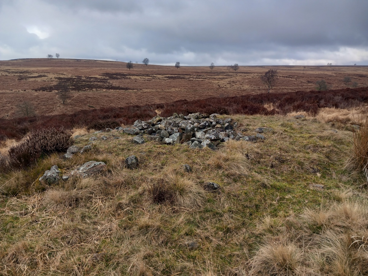 Big Moor Cairns SW