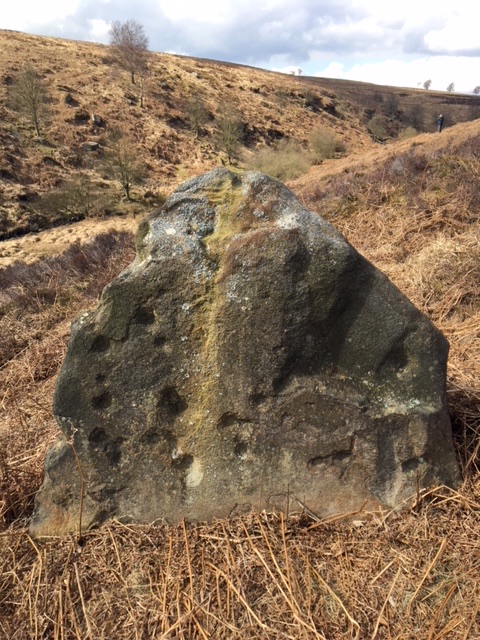 Click for full size image of Barbrook Cupmarked Stone (PID:179451) Barbrook Cupmarked Stone