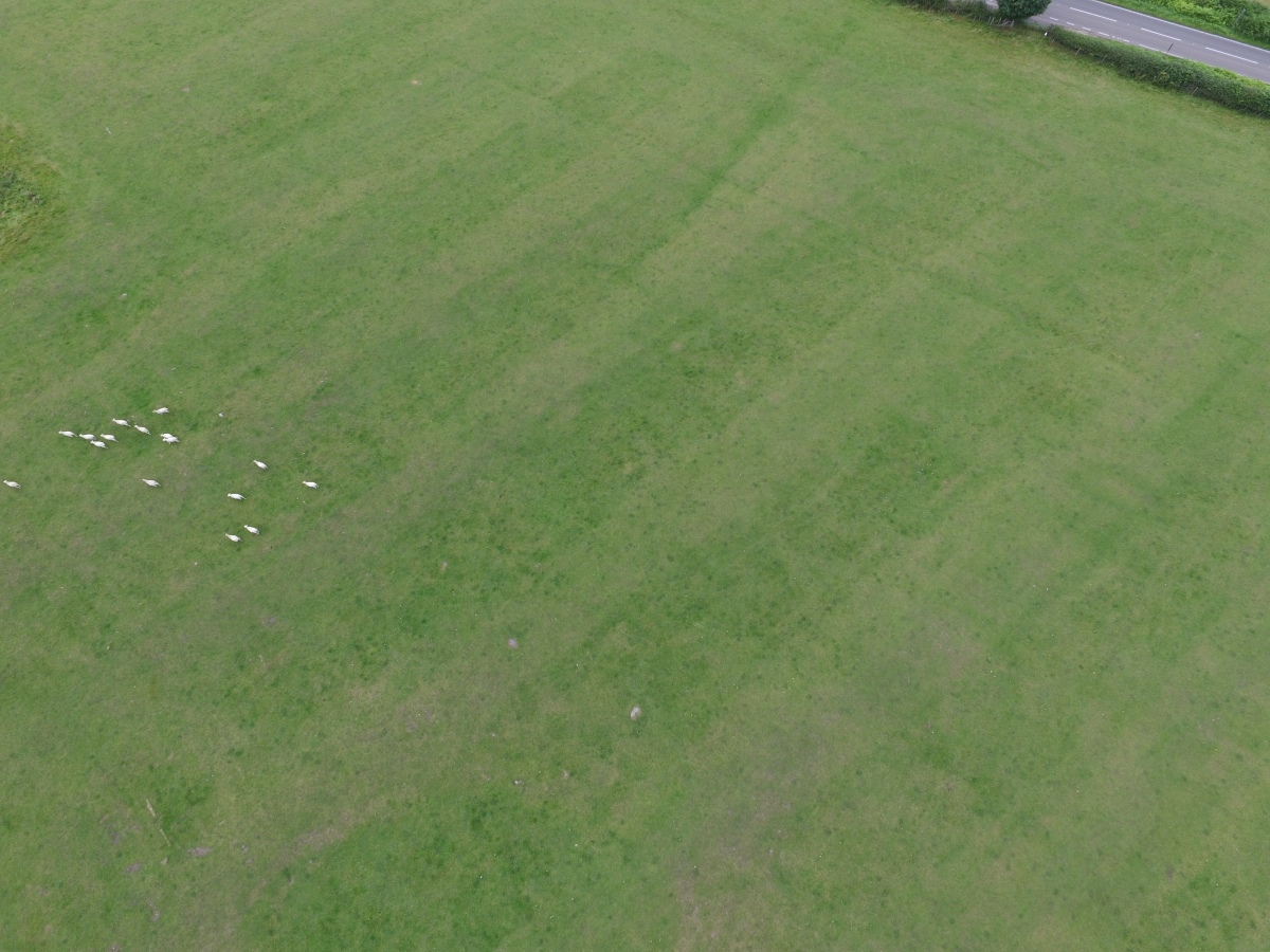 Click for full size image of Dethick Moor (PID:230531) Dethick Moor