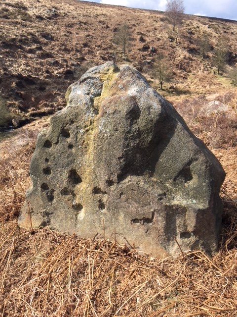 Barbrook Cupmarked Stone (PID:179450) Barbrook Cupmarked Stone