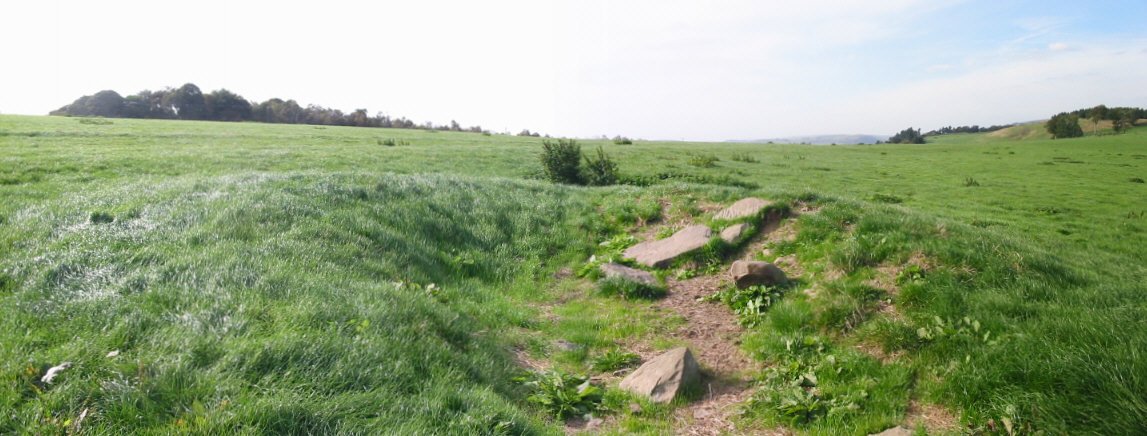 Calton Pasture (PID:2238) Calton Pasture