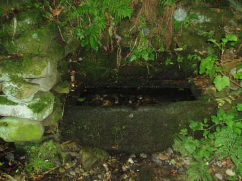 Lady Well Wall (PID:23568) Lady Well Wall