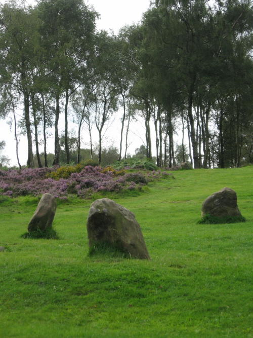 View towards the King Stone from the circle.
