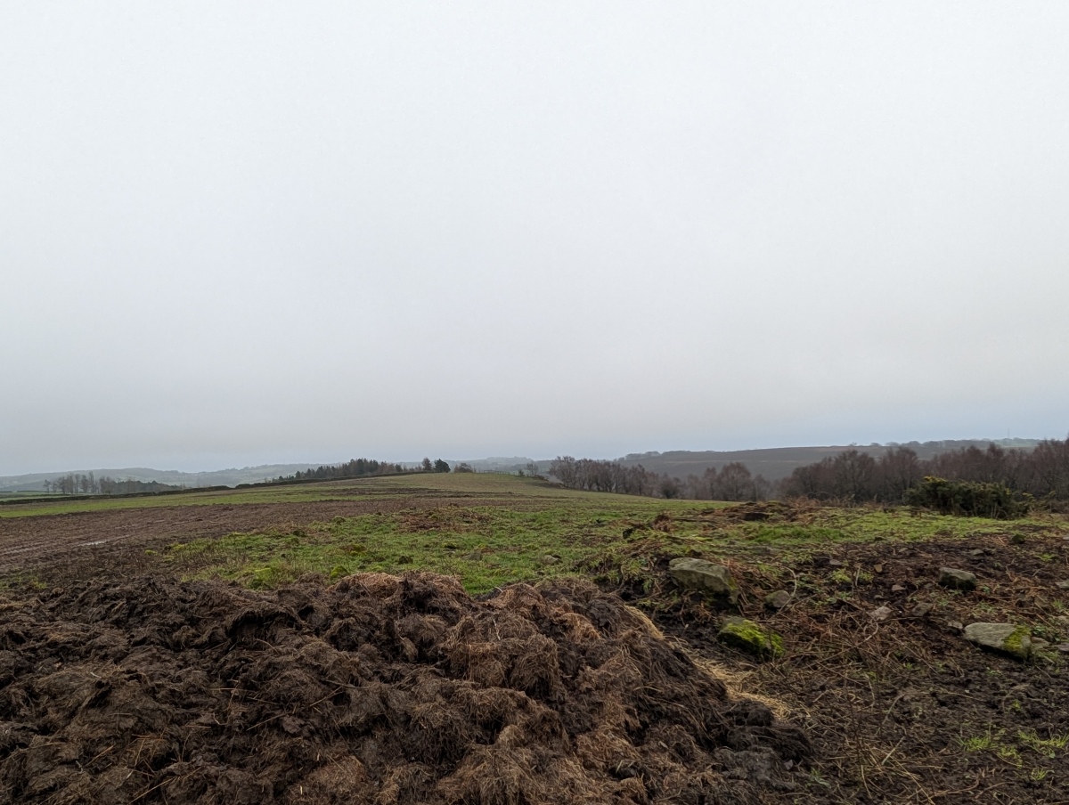 Click for full size image of Longside Moor (PID:302739) Longside Moor