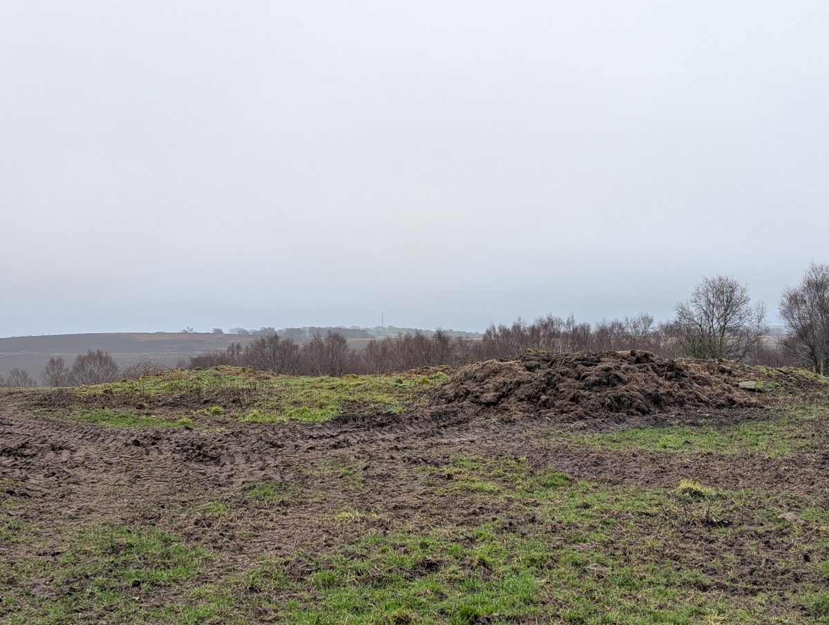 Click for full size image of Longside Moor (PID:302738) Longside Moor