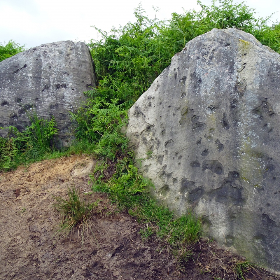 Click for full size image of Barbrook Cupmarked Stone (PID:213561) Barbrook Cupmarked Stone