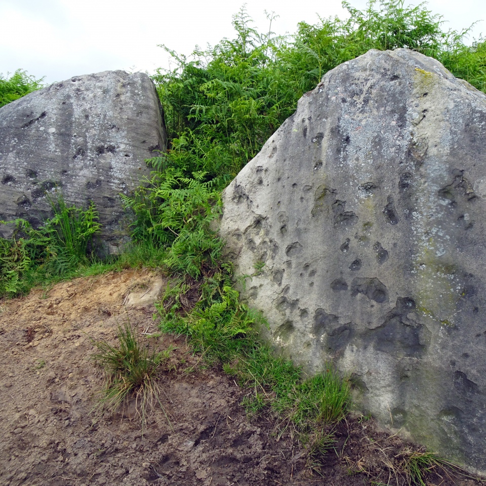 Barbrook Cupmarked Stone