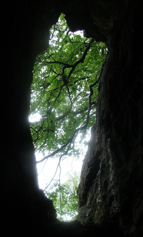 Dowel Cave