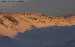Arbor Low 1 - PID:53957