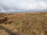 Big Moor Cairn Field