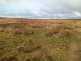 Big Moor Cairn Field