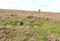 Eyam Moor 2 - PID:3362