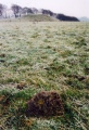 Click for full size image of Arbor Low Earthwork (PID:35913) Arbor Low Earthwork