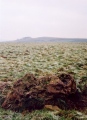 Arbor Low Earthwork