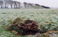 Arbor Low Earthwork