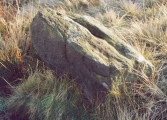 Click for full size image of Gibbet Moor North (PID:554) Gibbet Moor North
