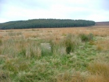 Click for full size image of Park Gate (PID:10308) Park Gate