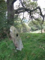 Click for full size image of Robin Hood's Stride (PID:53081) Robin Hood's Stride