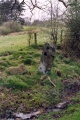 Click for full size image of Robin Hood's Stride (PID:14051) Robin Hood's Stride
