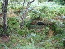 Stanton Moor 1 - PID:3371