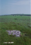 Arbor Low - PID:11890