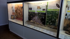 Click for full size image of Derby Museum and Art Gallery (PID:259033) Derby Museum and Art Gallery
