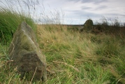 Click for full size image of Park Gate (PID:101227) Park Gate
