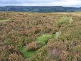 Eyam Moor Barrow - PID:12546